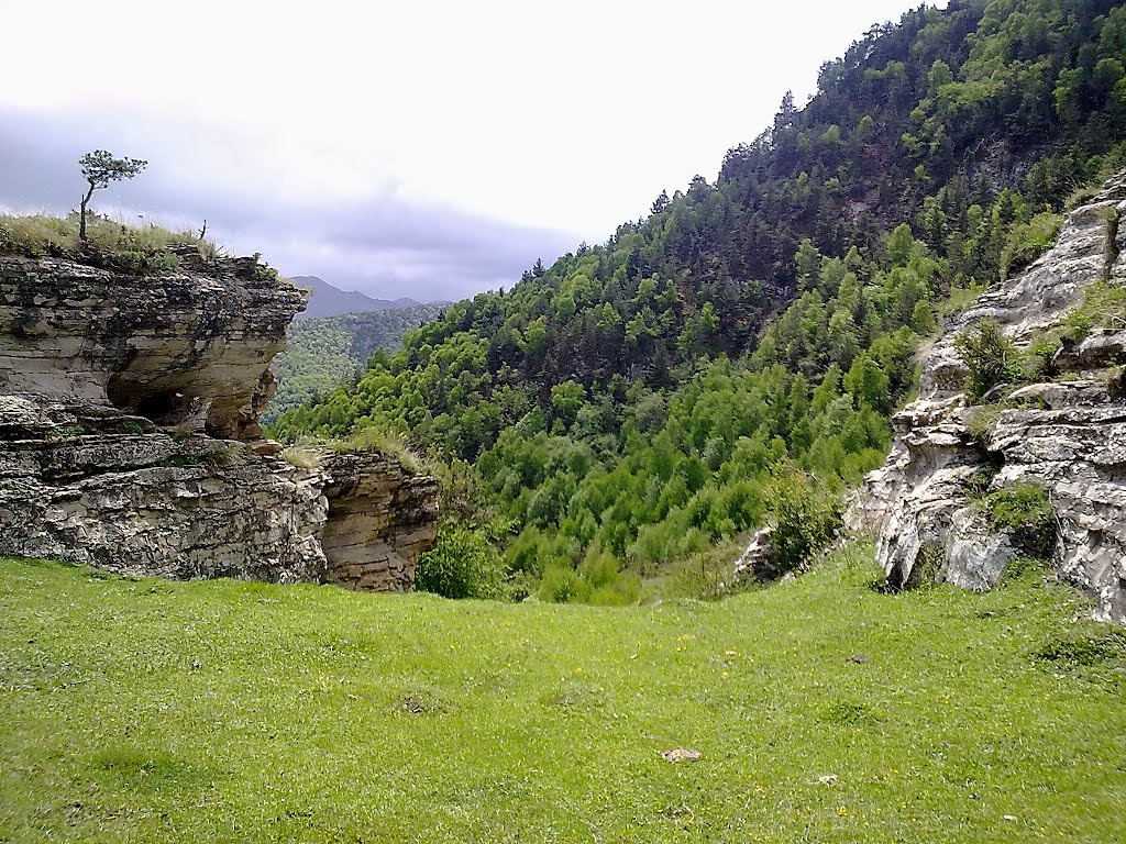 Красота