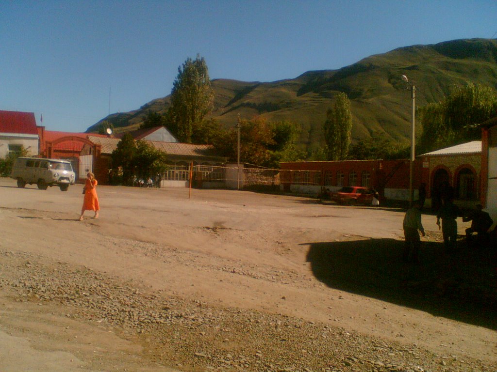 Tsurib