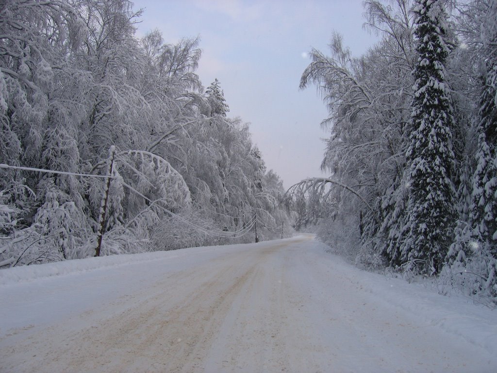 Зимняя дорога