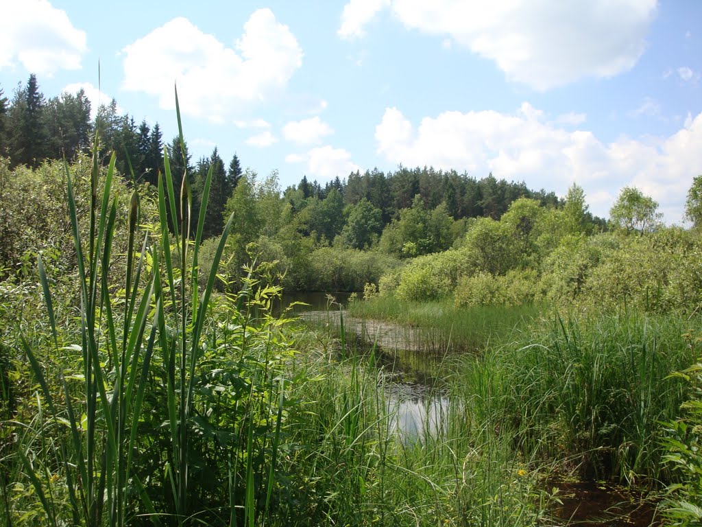Река Сулихта