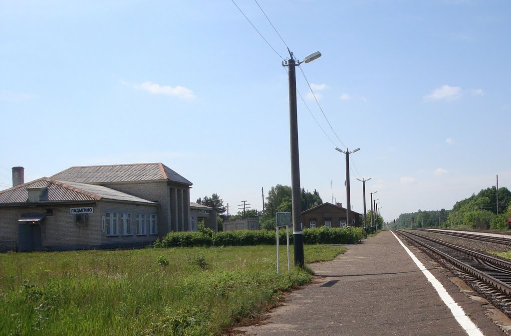 Станция Ладыгино