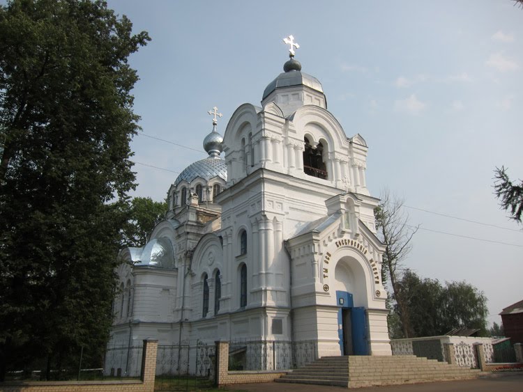 Воскресенская церковь села Бонячки.