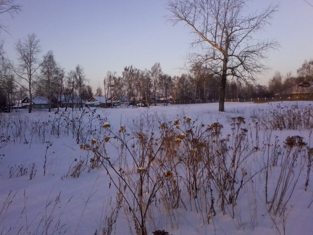 пустырь