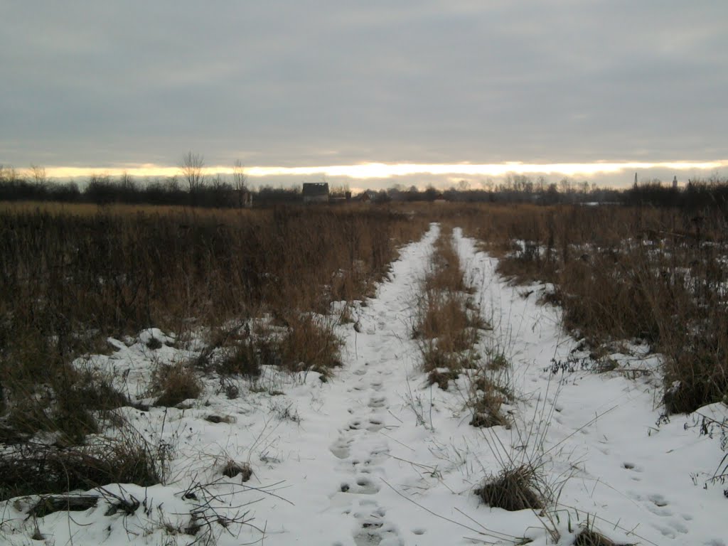 первый снег