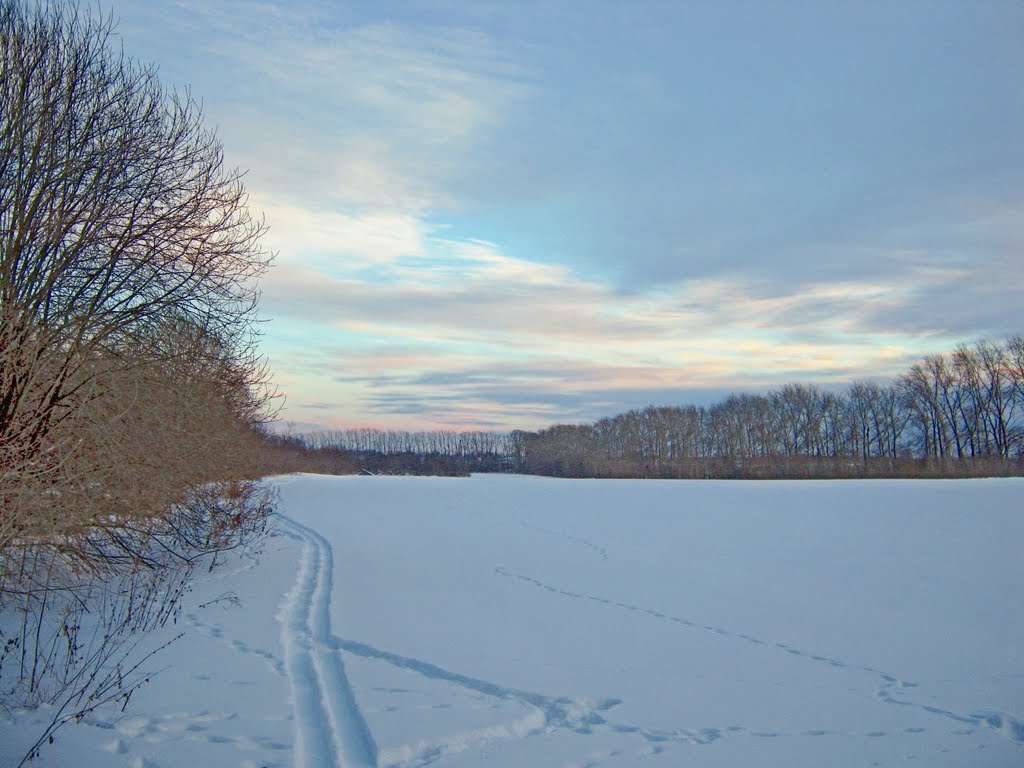 февраль