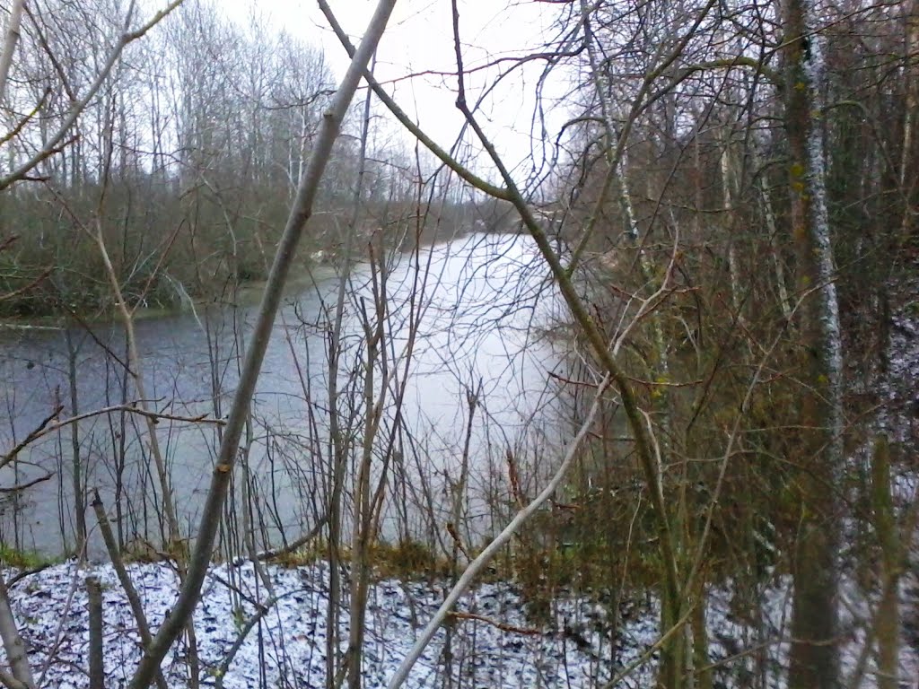 Ноябрь2012