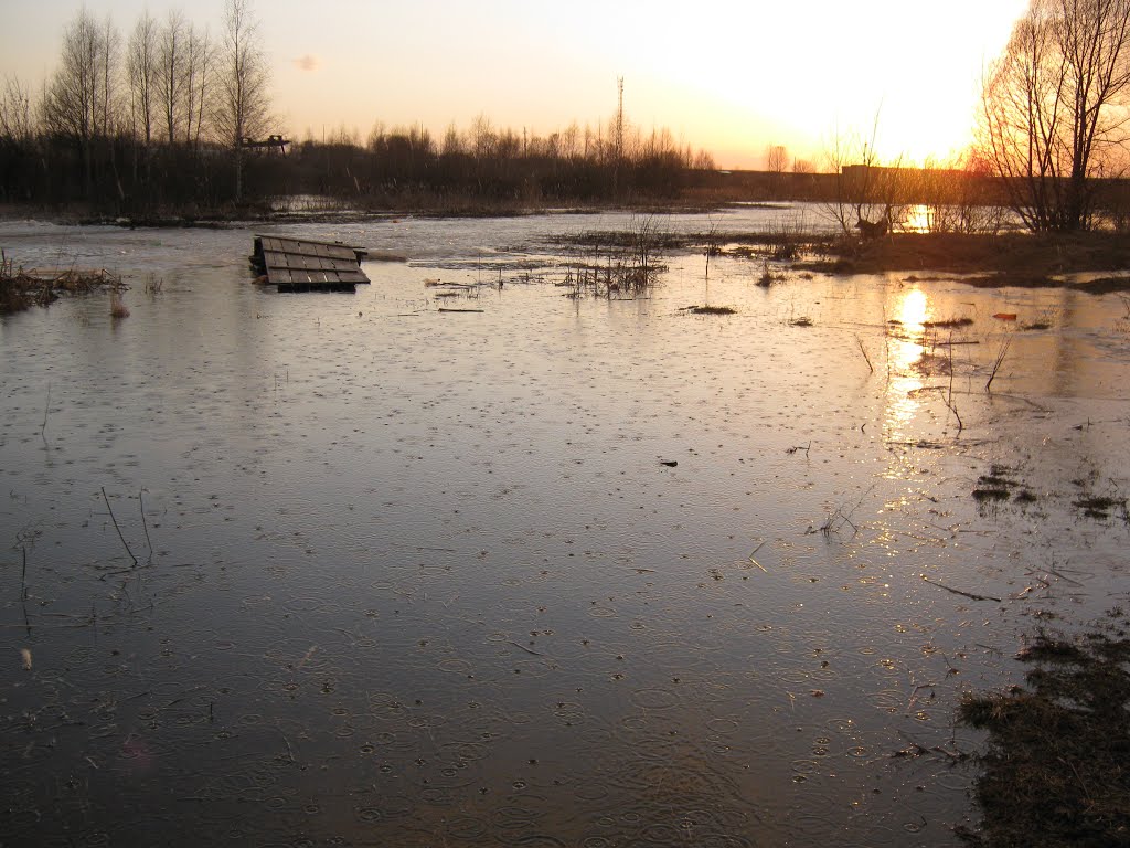 Разлив