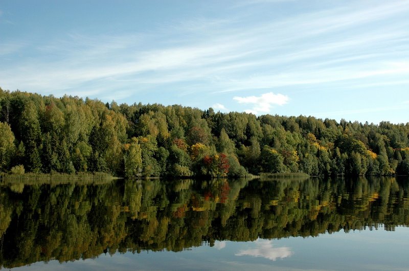 Early Autumn