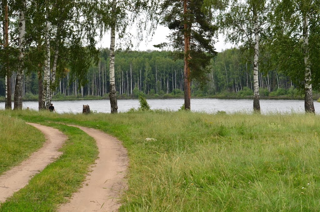Кувшинка