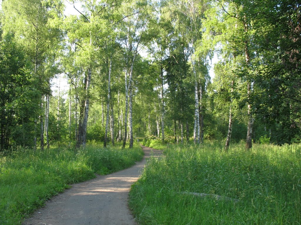Дорога в парке