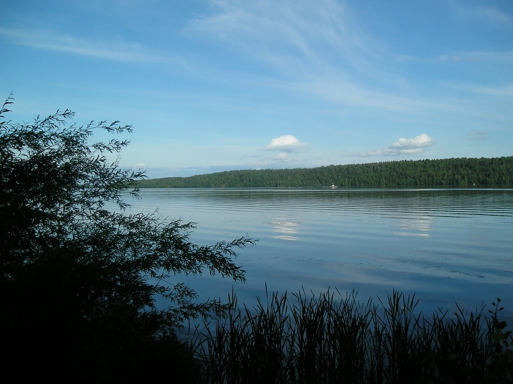Синева
