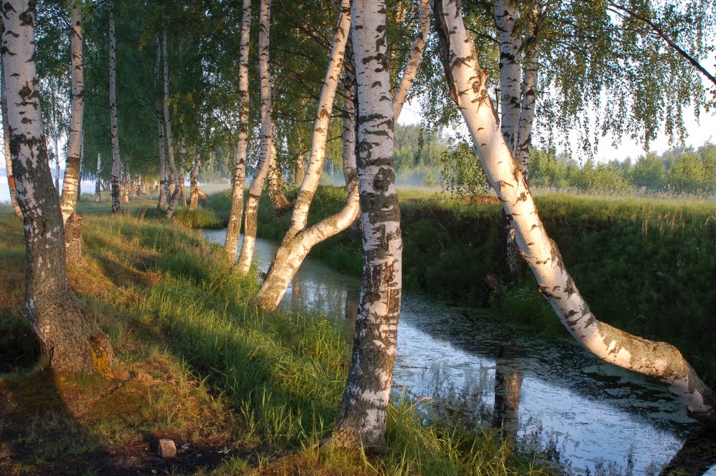Овраг на берегу Волги
