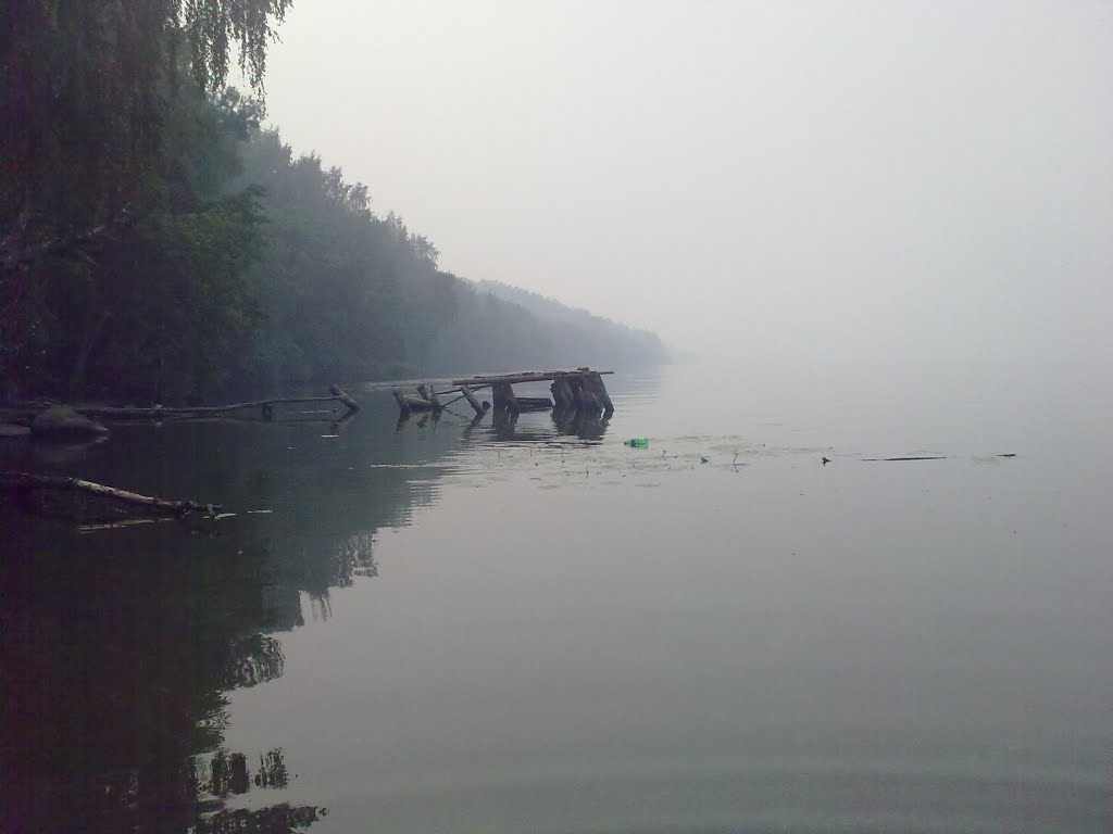 5 августа 2010 года.
