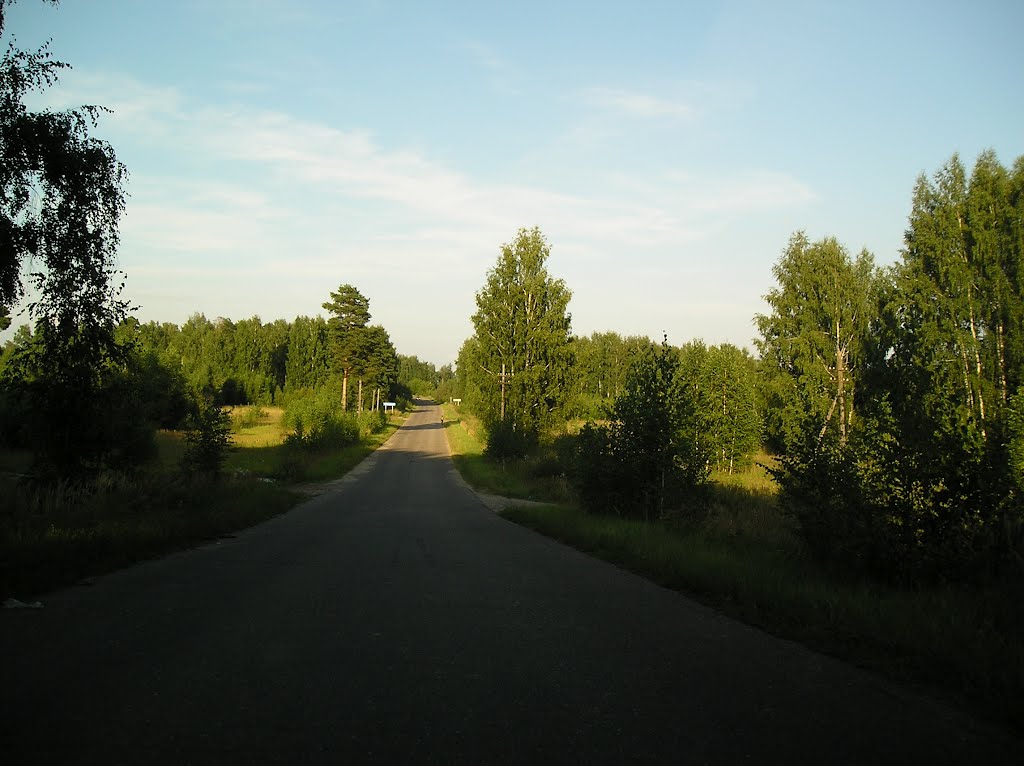 Въезд в Заречный.