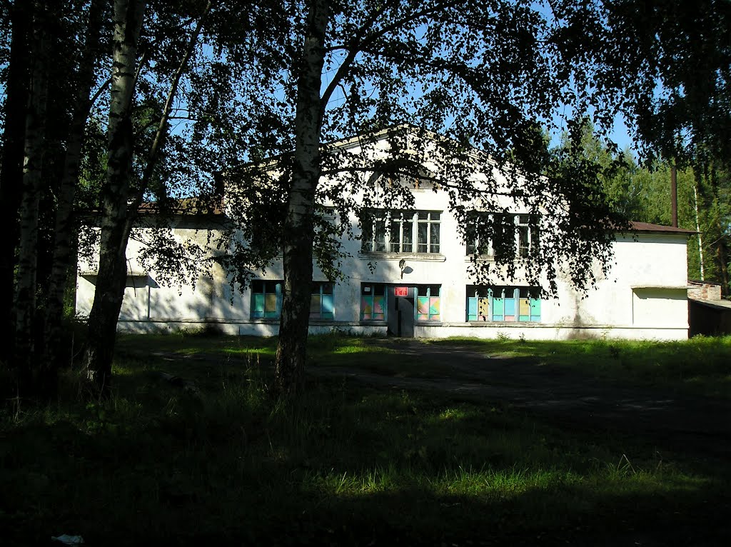 Клуб,очаг культуры. Поселок Заречный.