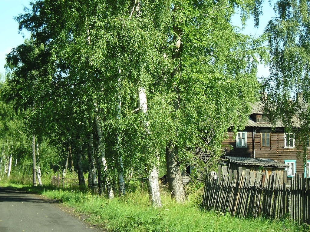 Тихая улочка.