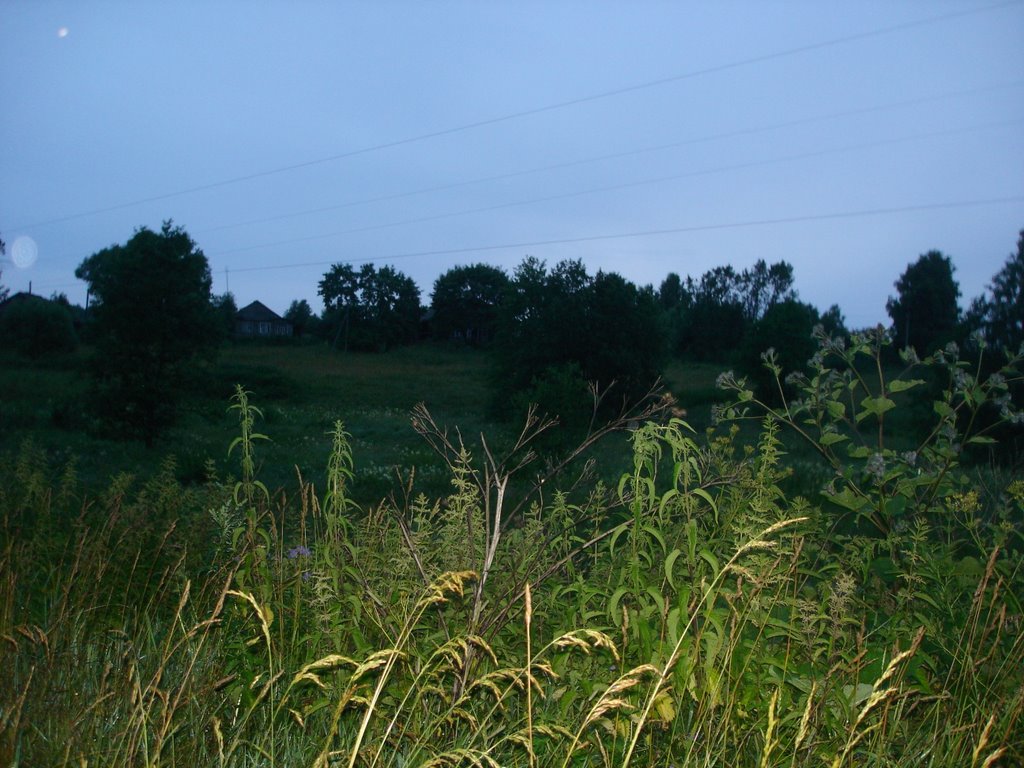 15.07.2009
