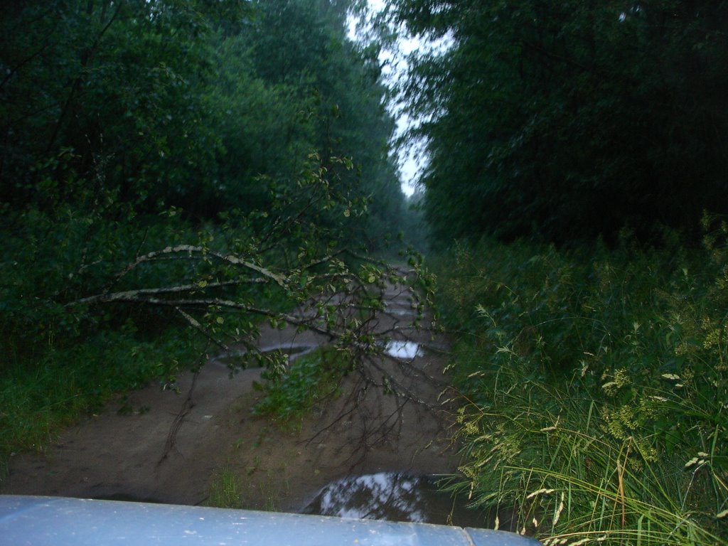 15.07.2009
