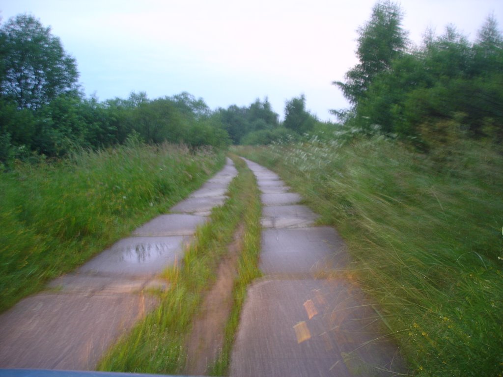 15.07.2009