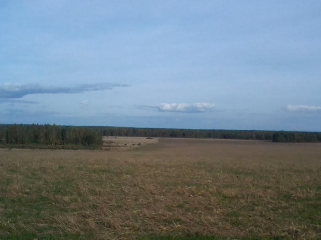 вид с горки