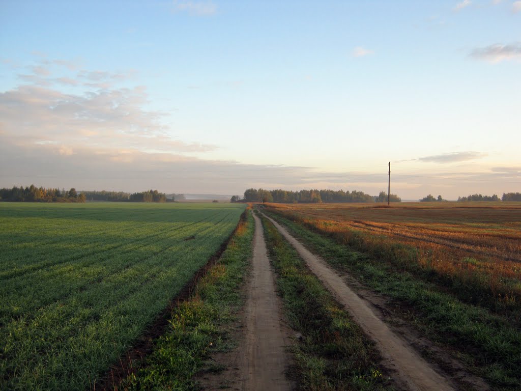 Полевая дорога.