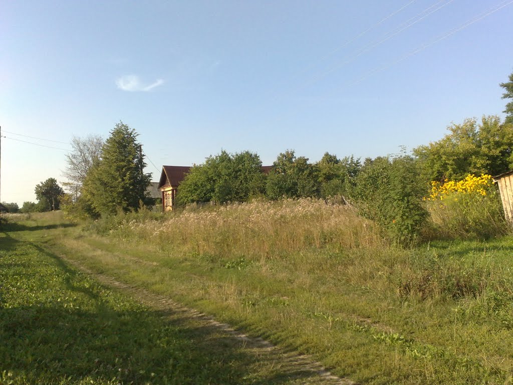 домик в деревне 3