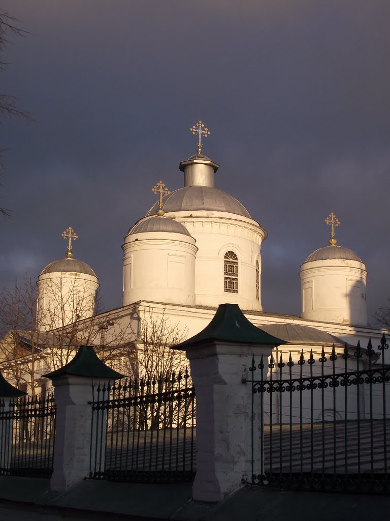Собор Троицы Живоначальной