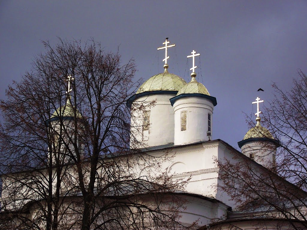 Купола