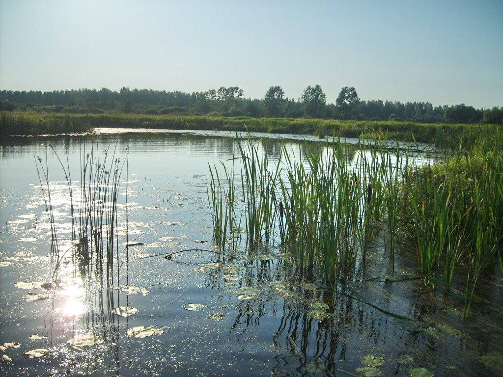 река Лух