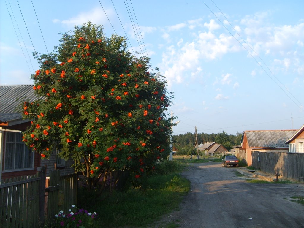 пос.Лух