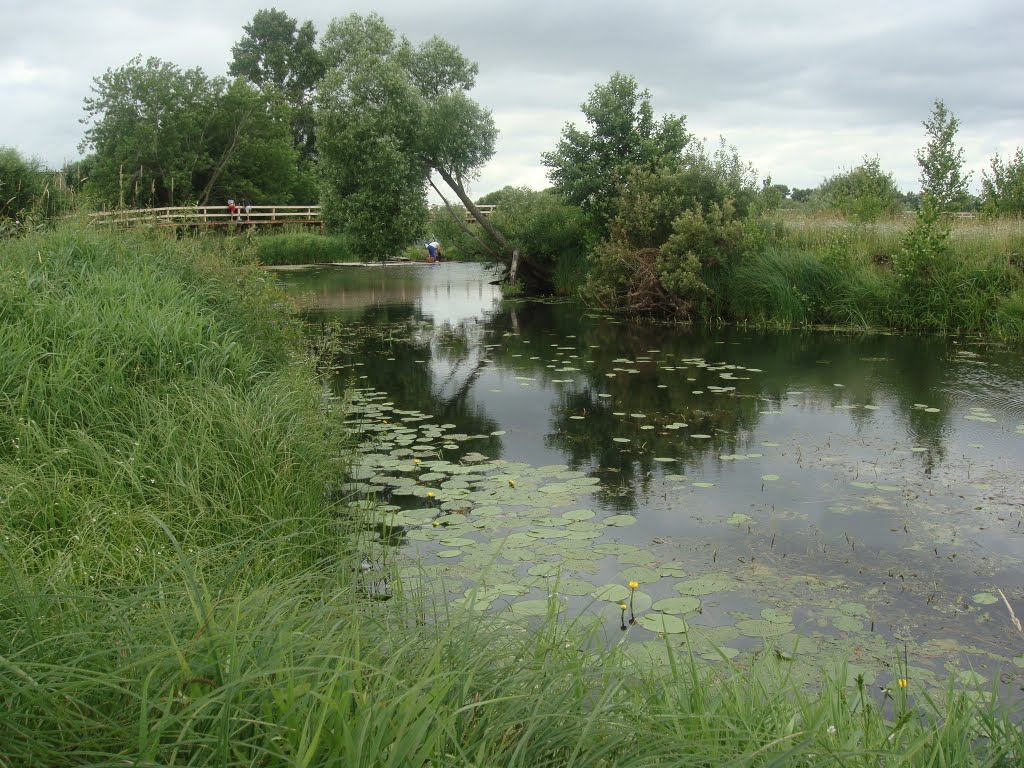 Река детства Лух