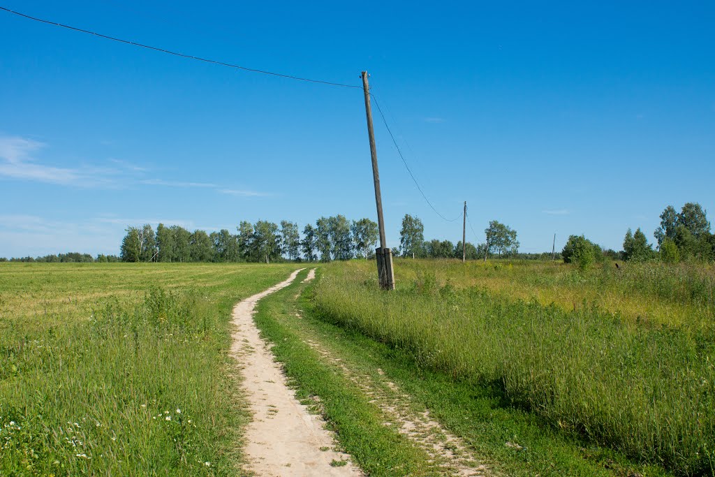 Проселочная дорога