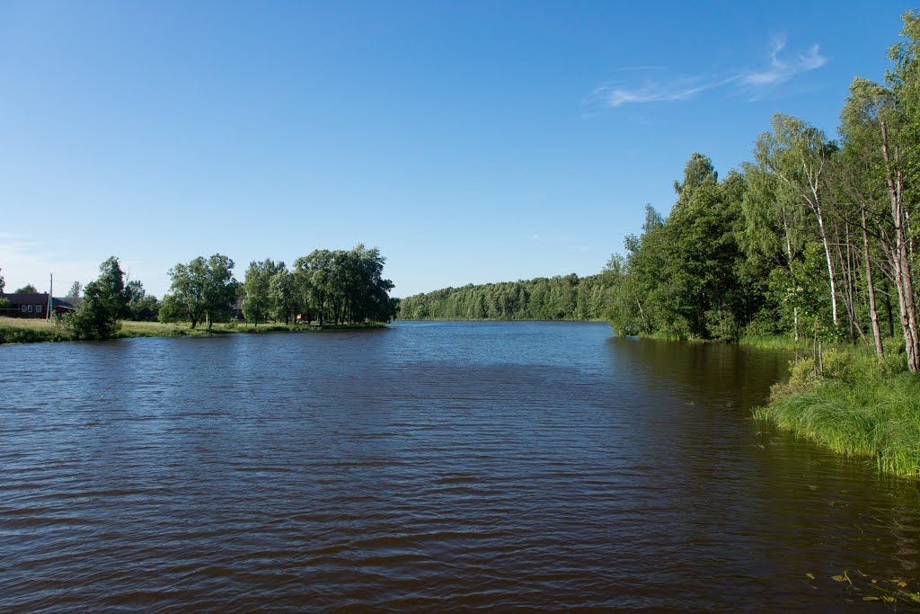 Река Палешка