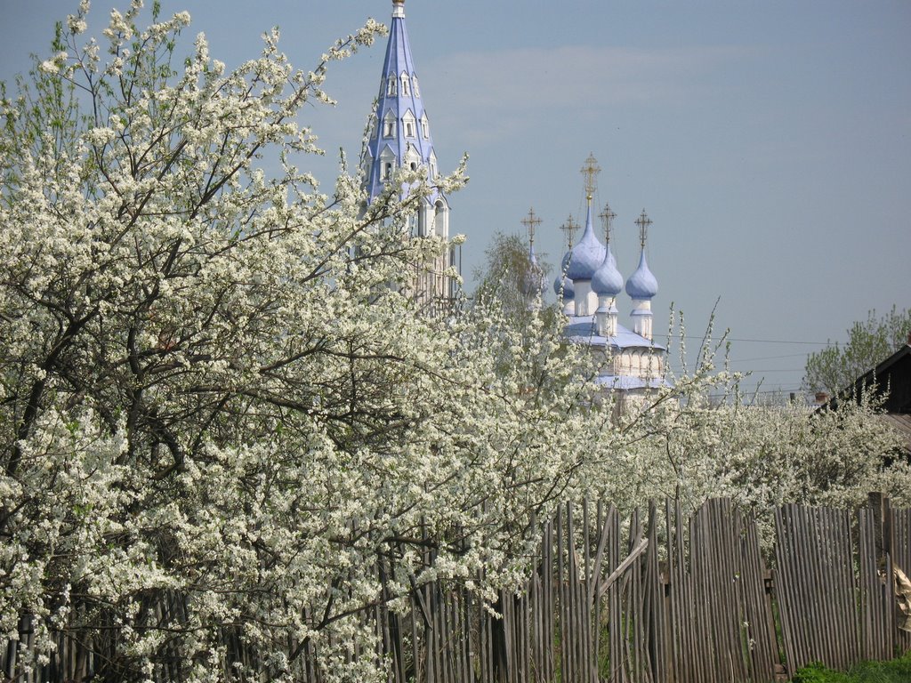 Cherry garden
