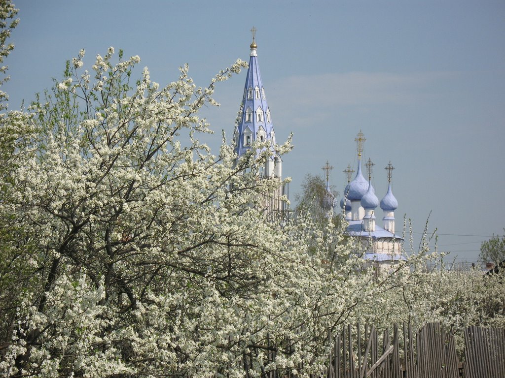 Cherry garden