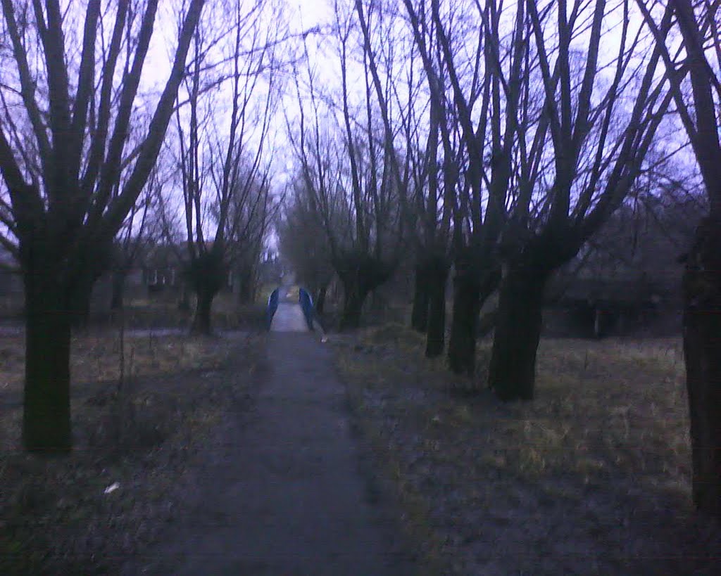 Дорога в слободу