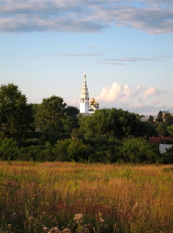 Николаевская церковь села Яковлевского.