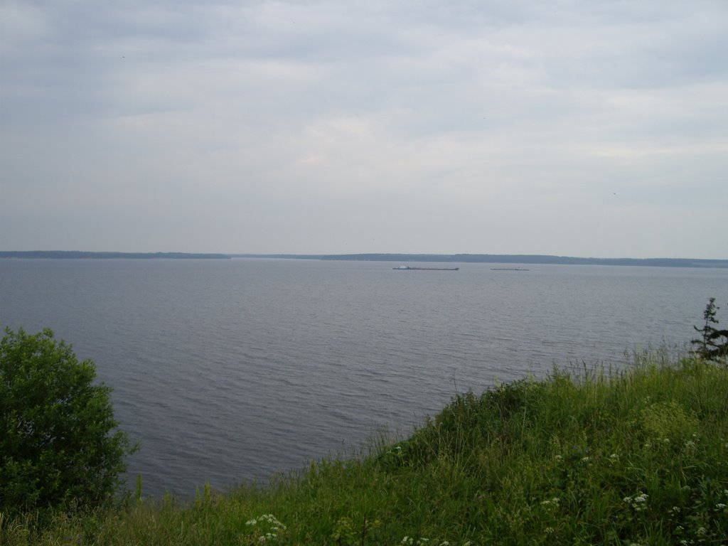 near Puchezh