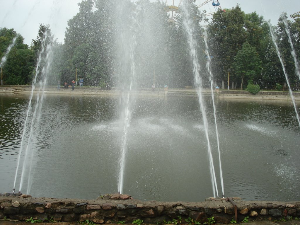 Парк культуры