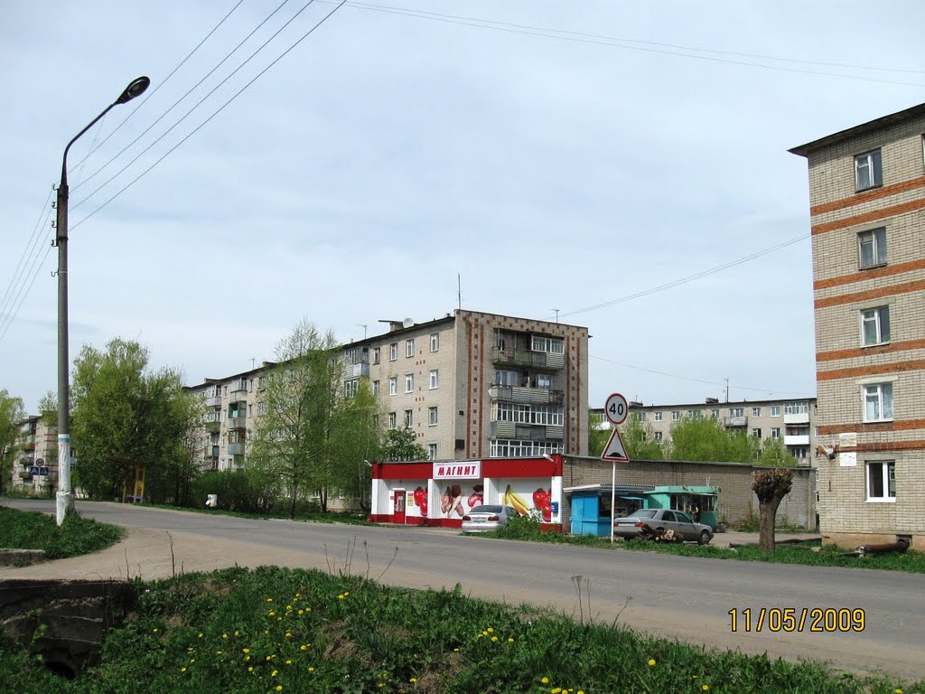 ул.Рябикова гор.Родники