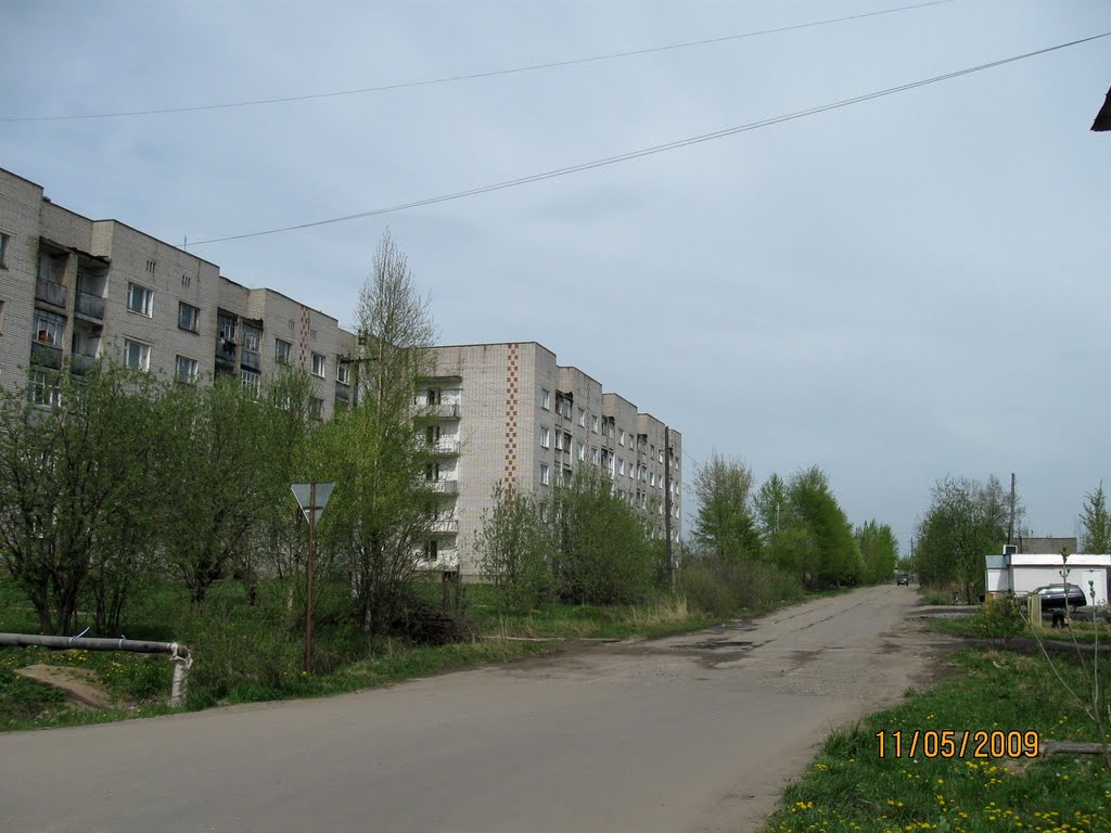 ул.Рябикова гор.Родники