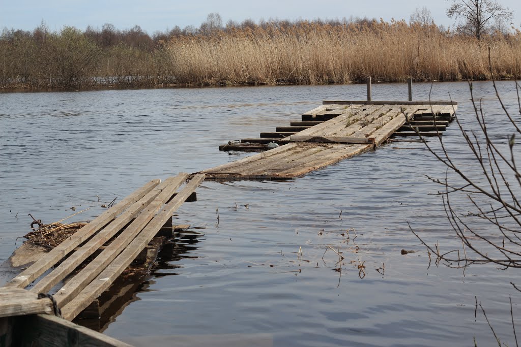 р. Лух в Городке.