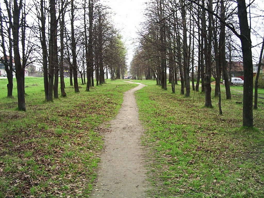 Тропинка