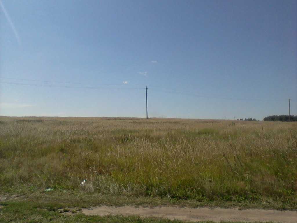 Поле летом