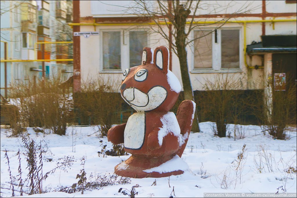 белочка