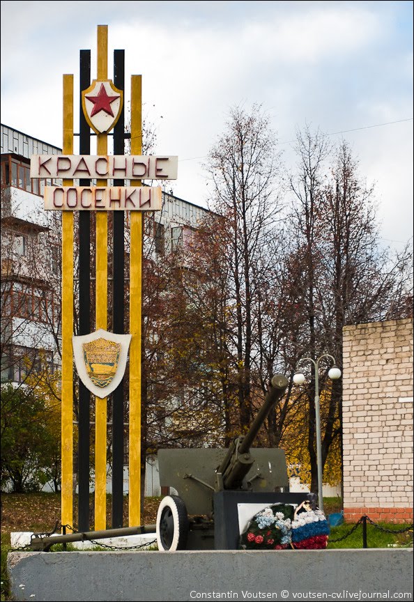 Красные сосенки