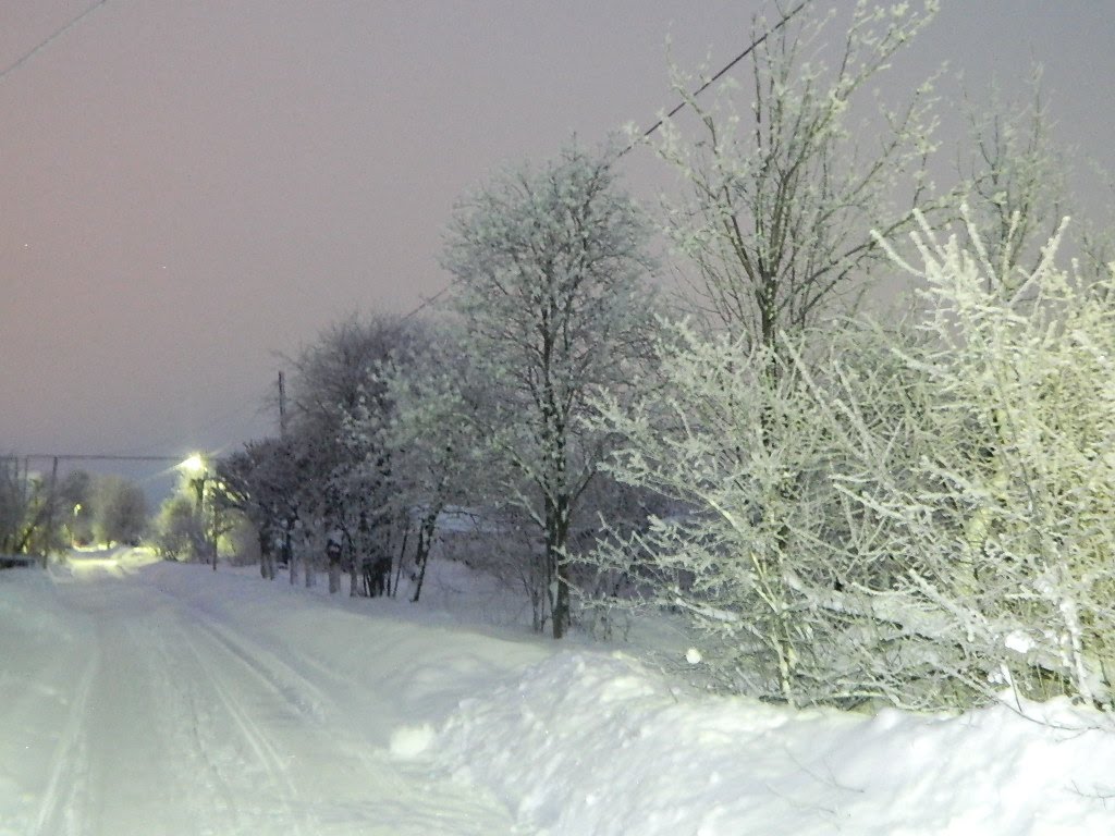 Ermak street