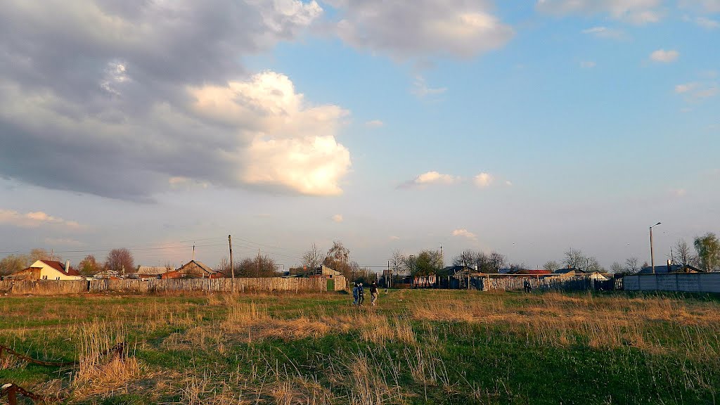 поле