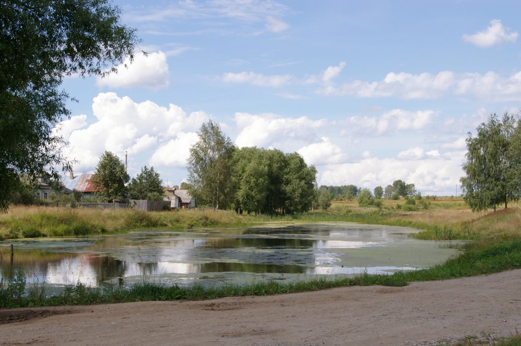 Пруд на Ярославской улице