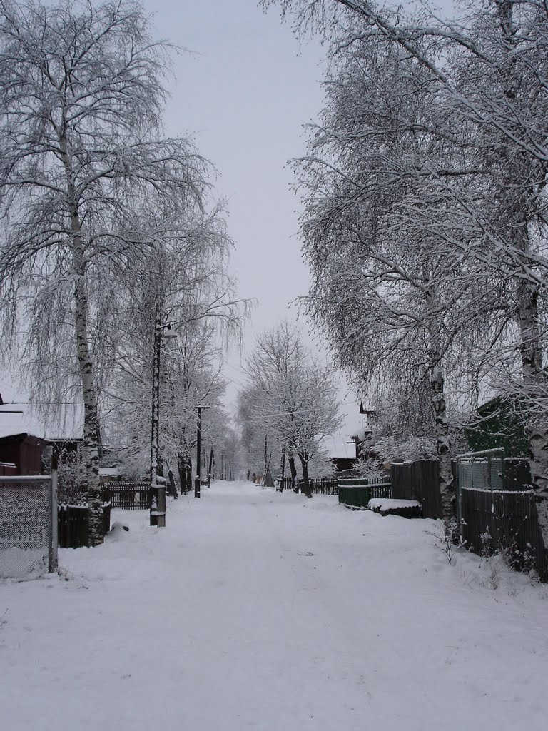 г.Фурманов. Ярославская ул. Зима 2006г.